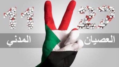 العصيان المدني 27 نوفمبر