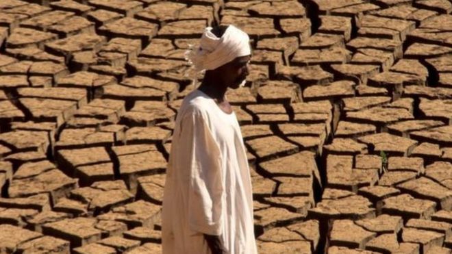 سيعاني كثيرون من متوسط درجات حرارة يتجاوز 29 درجة مئوية، إذا لم تنخفض انبعاثات الاحتباس الحراري Getty