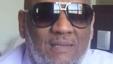 محمد حسن شوربجي