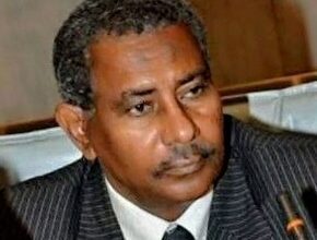 نجيب عبدالرحيم