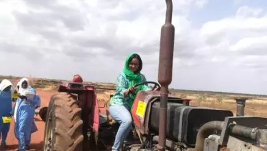 سهير عبدالرحيم