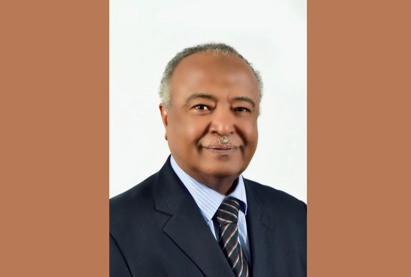 بروفيسور/ مكي مدني الشبلي