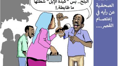 اعتصام القصر ... كاريكاتير ود أبو