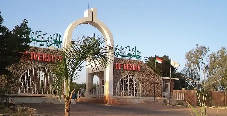 جامعة الجزيرة السودان