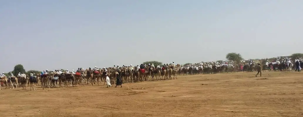 المسلحون يرفعون الحصار عن معسكر مورني بعد دفع النازحين 100 ناقة