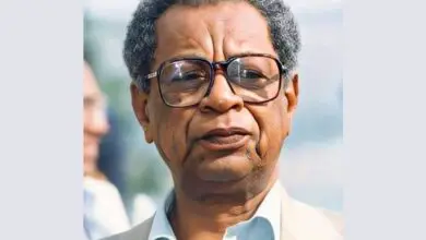 الأديب السوداني الطيب صالح