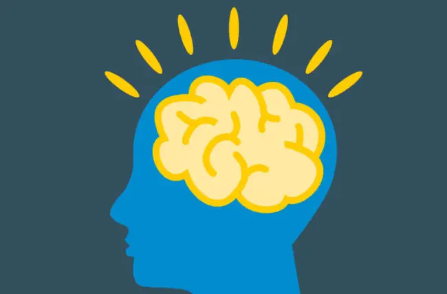 صحة الدماغ