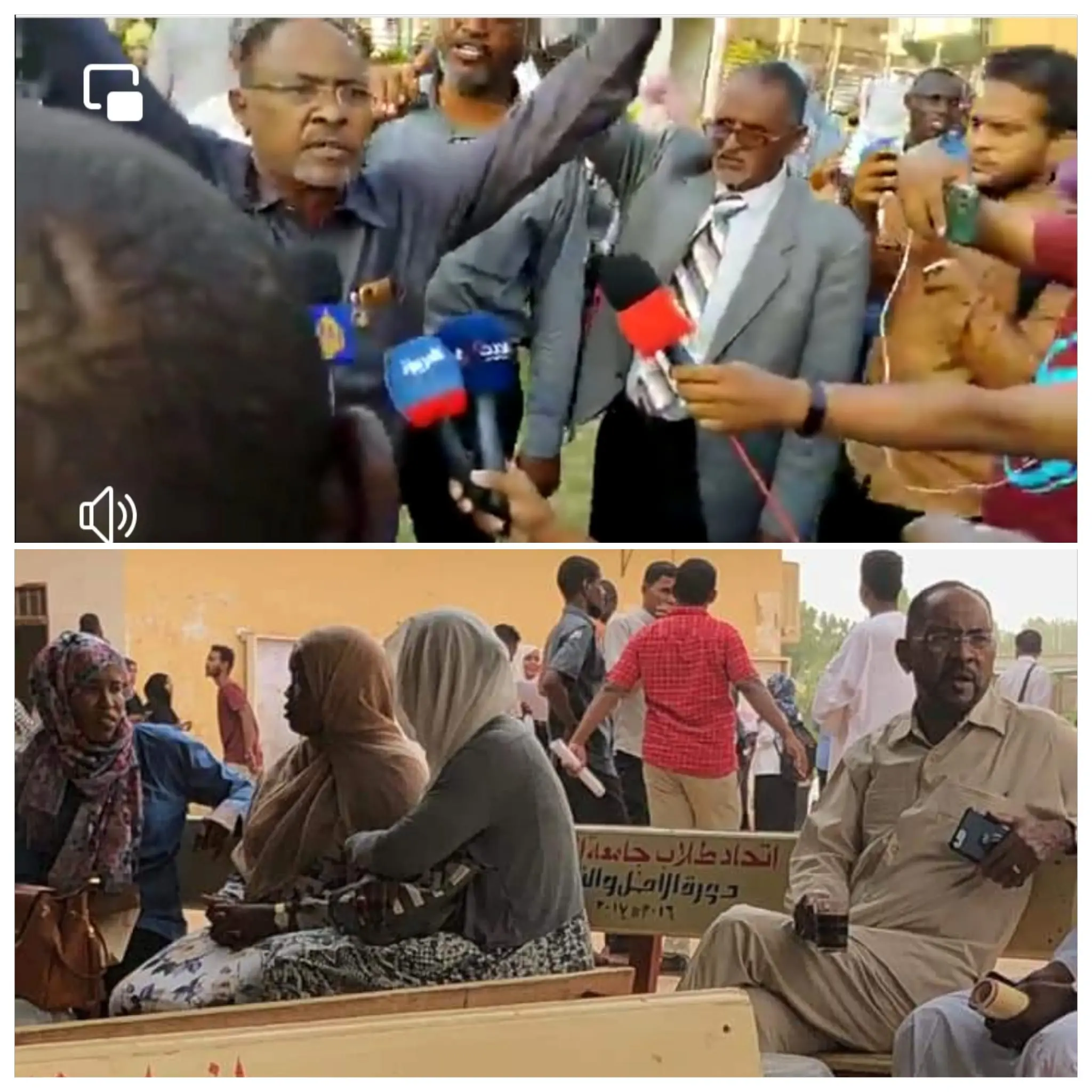 ربيع عبدالعاطي