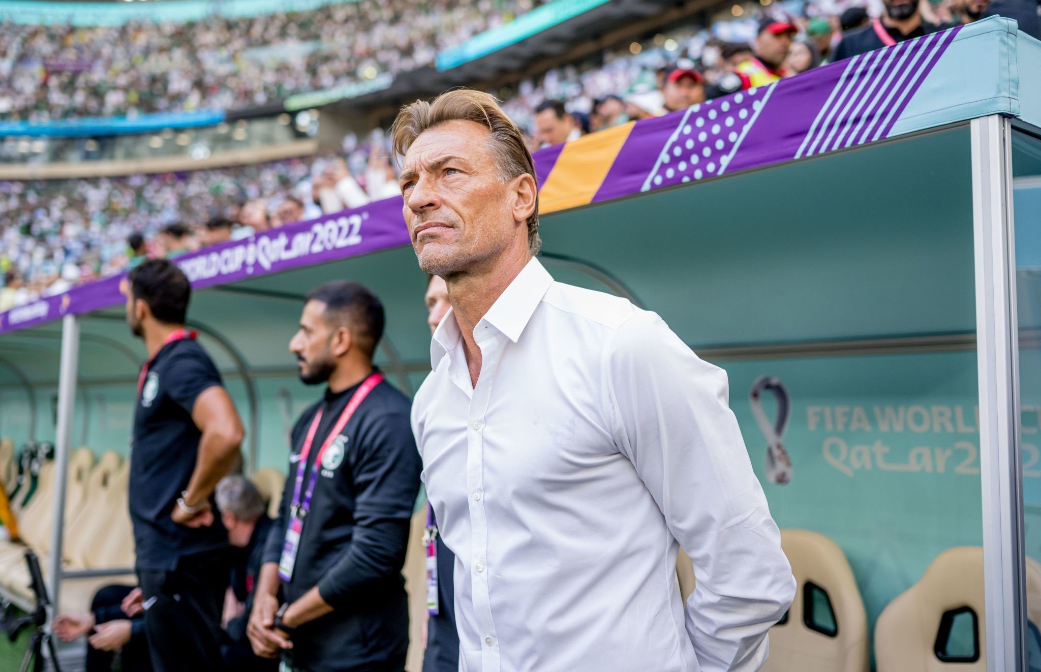 الفرنسي هيرفي رينارد مدرب منتخب السعودية