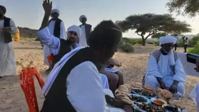 الناظر محمد الامين ترك