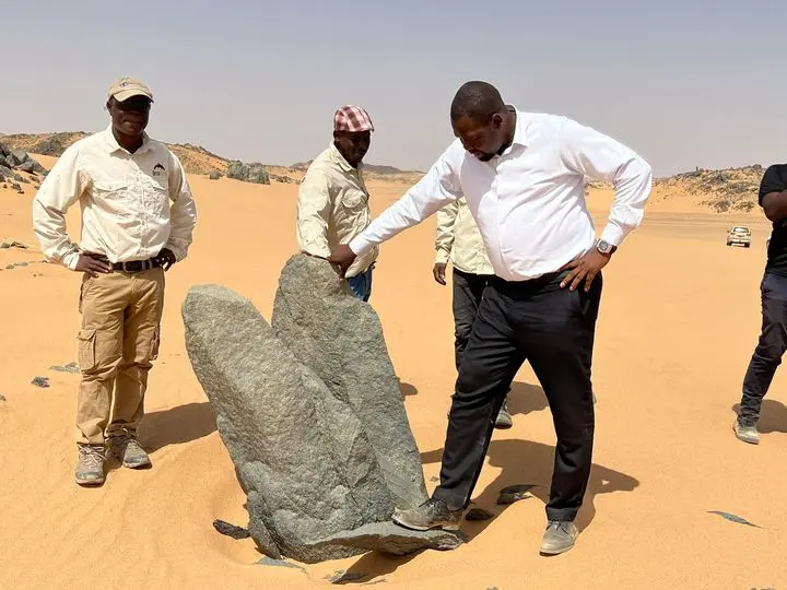 مبارك أردول