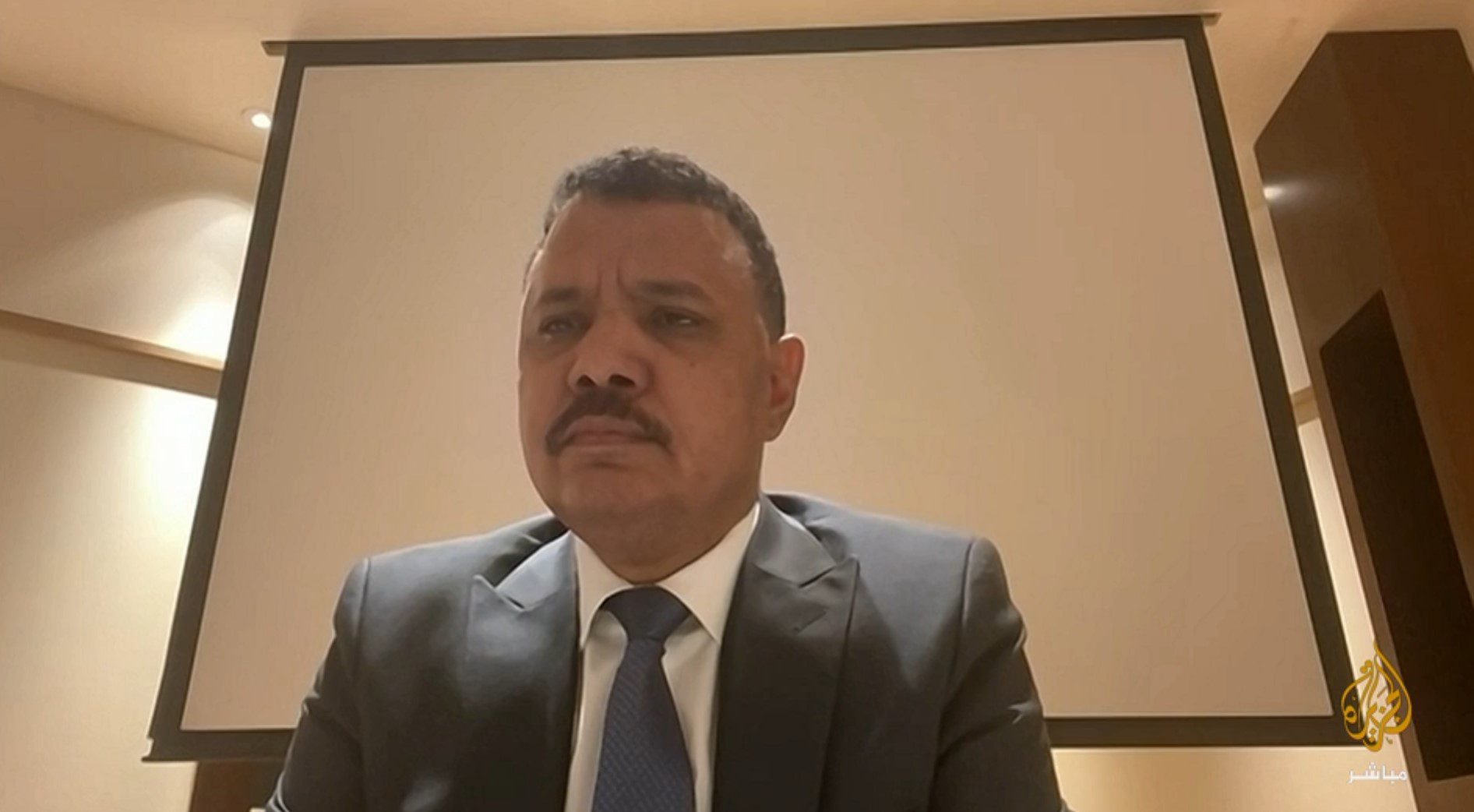يوسف ابراهيم عزت الماهري