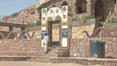 حلفا الجديدة