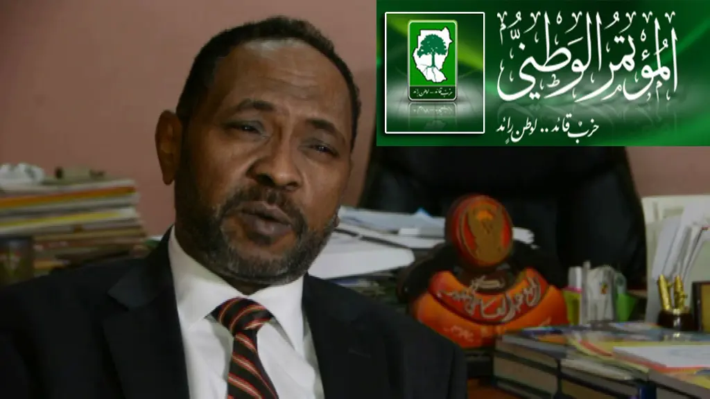 ربيع عبدالعاطي