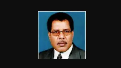 د. محمد عطا مدني