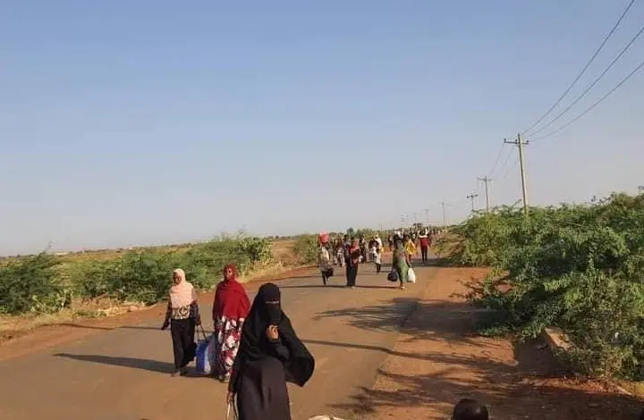 العيلفون