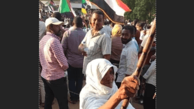 الدكتورة رفيعة حسن احمد