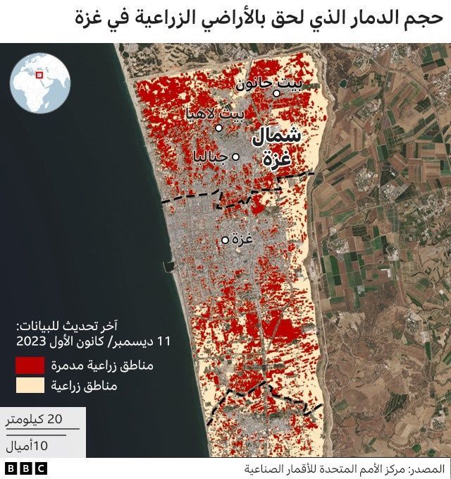حجم الدماء بالأراضي الزراعية في غزة