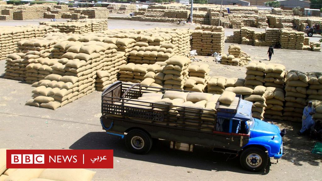 مجلس-السيادة:-“نسمح-بمرور-المساعدات-للمدنيين-عبر-المسارات-المتفق-عليها-في-السودان”
