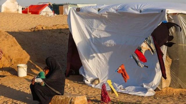 يعتقد أن نحو 24 ألف طفل ولدوا في غزة خلال الحرب