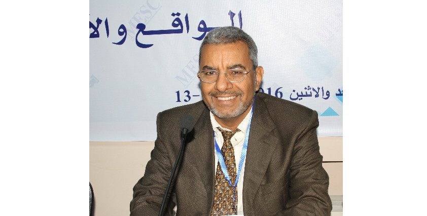 حمدي حسن