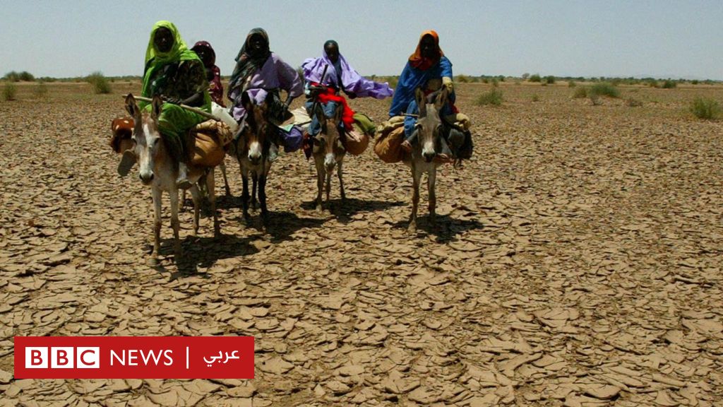 حرب-السودان:-تحذيرات-من-كارثة-وشيكة-في-مدينة-الفاشر-المحاصرة