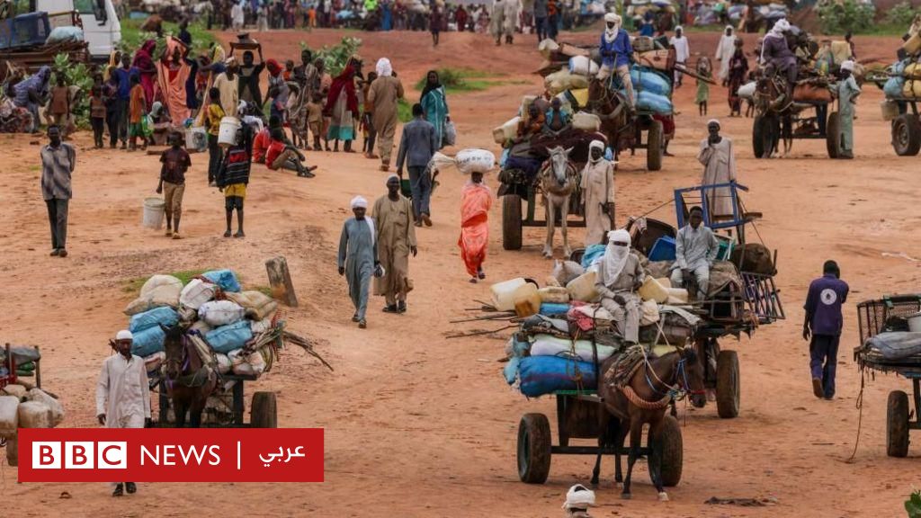 “العالم-يتجاهل-خطر-حدوث-إبادة-جماعية-في-السودان”-مسؤولة-أممية-في-دارفور