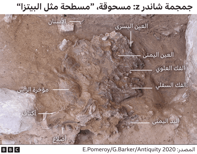 جمجمة
