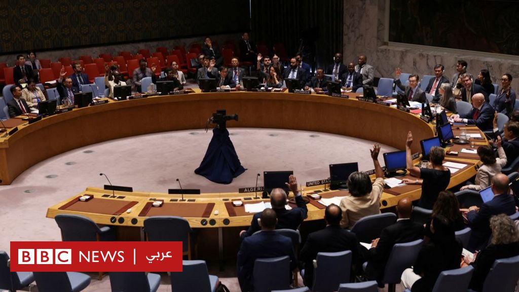 مجلس-الأمن-يطالب-قوات-الدعم-السريع-بإنهاء-“حصار”-مدينة-الفاشر-السودانية