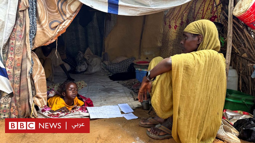 ترحيب-إماراتي-بجهود-الوساطة-التركية-لإنهاء-الحرب-في-السودان،-وحكومة-البرهان-ترفض-تقارير-عن-“مجاعة”