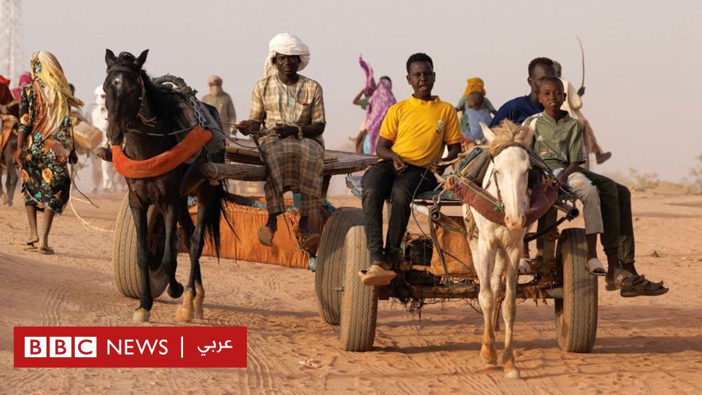 السودان-يتهم-الإمارات-بـ-“التواطؤ-في-إبادة-جماعية”-أمام-محكمة-العدل-الدولية