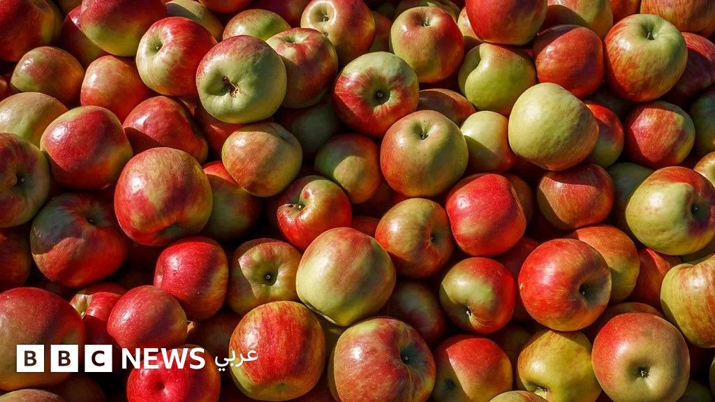 هل-تناول-تفاحة-في-اليوم-مفيد-حقّاً-لصحتك؟