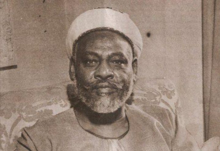 الامام عبدالرحمن محمد احمد المهدي