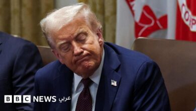 محكمة-الاستئناف-الأمريكية-تقضي-بعدم-قانونية-بعض-الرسوم-الجمركية-التي-فرضها-ترامب-على-دول-العالم