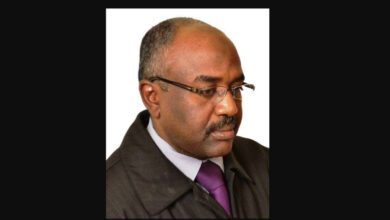 ناصر السيد النور