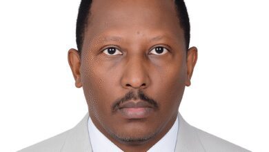 محمد سنهوري الفكي الامين