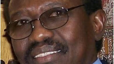 الدكتور أحمد كمال الدين محمد حسن عزالدين