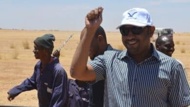 رئيس مجلس ادارة نوبلز السودان - محمد المامون