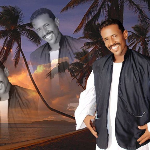 محمد النصري