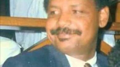 سيف الدولة حمدناالله