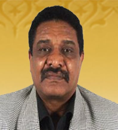 تاج السر حسين