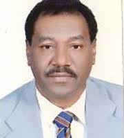 محمد عبدالله برقاوي