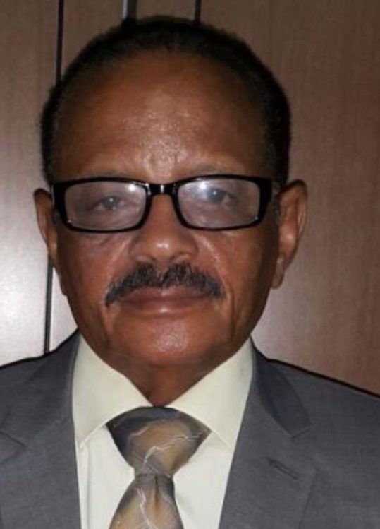 محمد الحافظ محمود