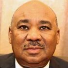 صورة بروفيسور إبراهيم أحمد البدوي