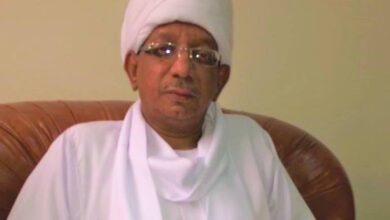 تيسير حسن ادريس