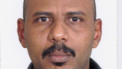 بكرى سوركناب