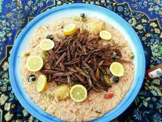 الجراد