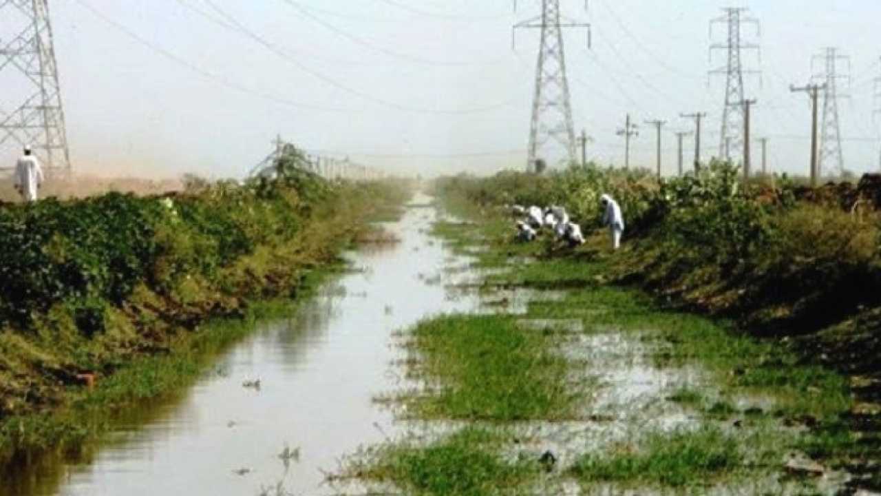 مشروع الجزيرة والمناقل