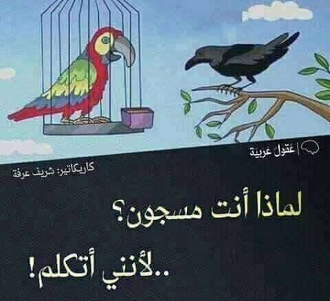 حرية التعبير