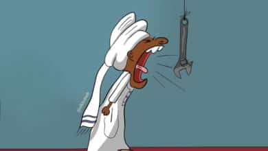 سيصرخون، التفكيك